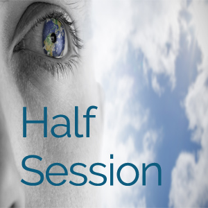 insight session half