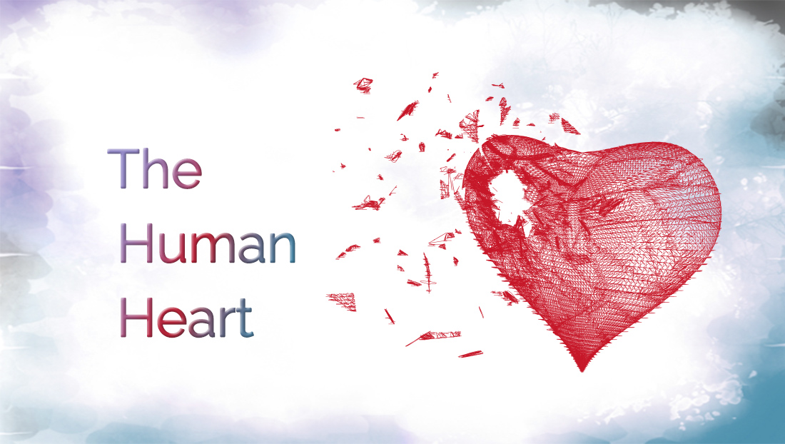 the human heart