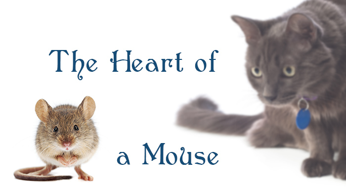 The Heart of a Mouse