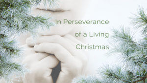 In Perseverance of a Living Christmas