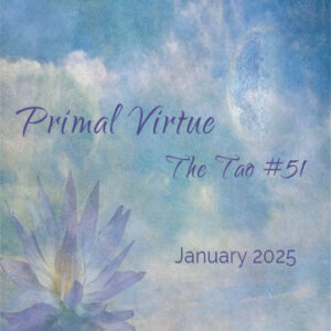 Series 1 - Primal Virtue