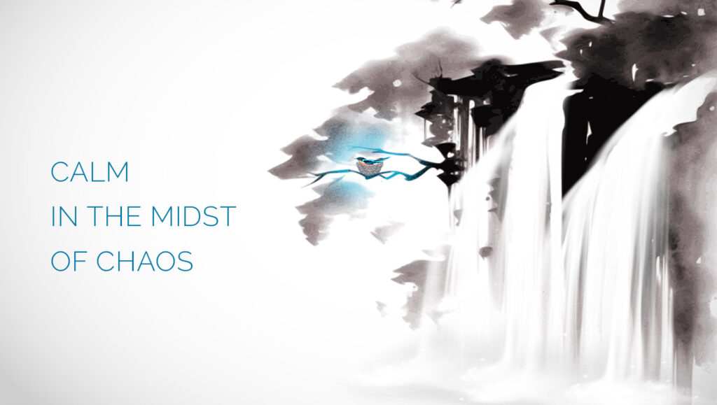 Calm in the Midst of Chaos