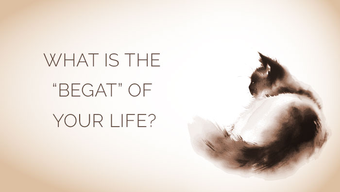 What Is The “Begat” of Your Life?